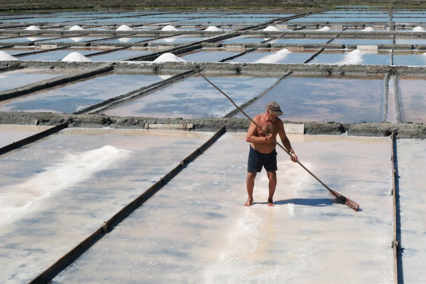 Aveiro, Salt of the World