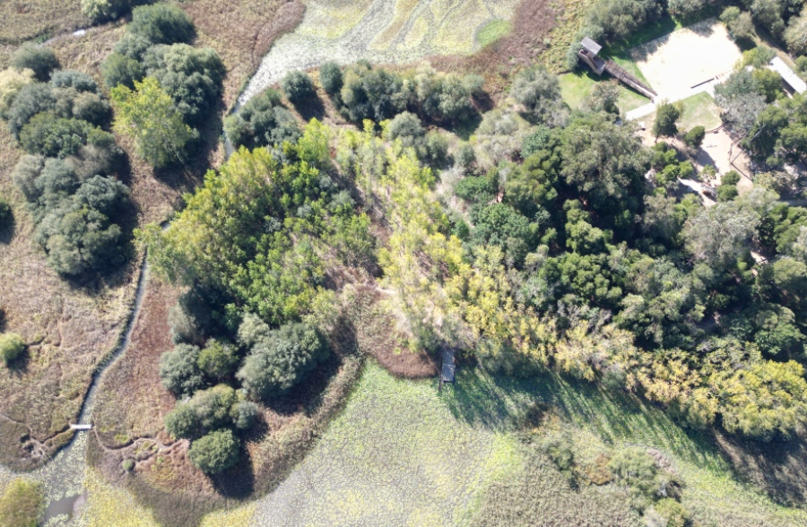 Biologiste d'un jour