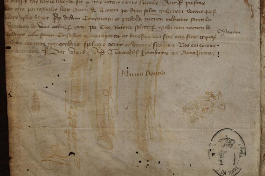 SEL d'Aveiro, SEL du monde