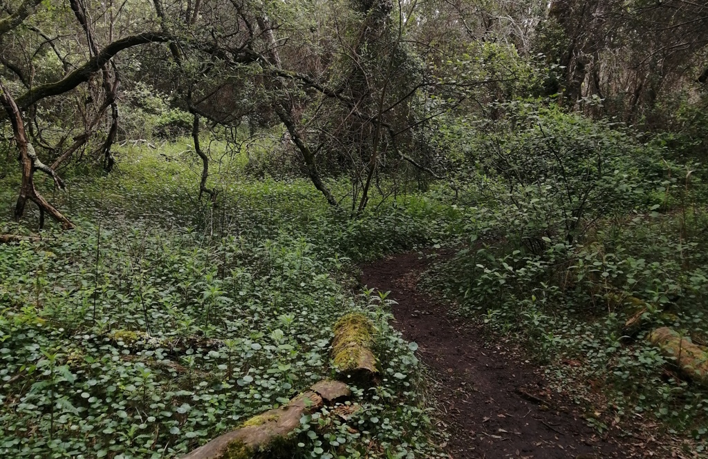 Una mañana en mi área protegida